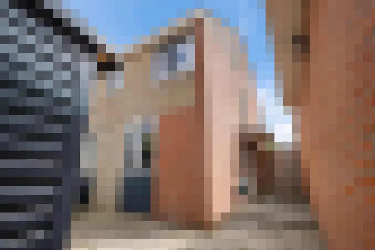 Klaverweide 23 Delfzijl thumbnail 11
