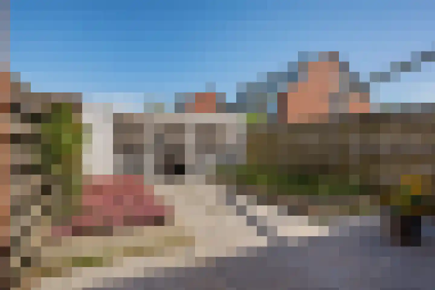 Klaverweide 24 Delfzijl thumbnail 4