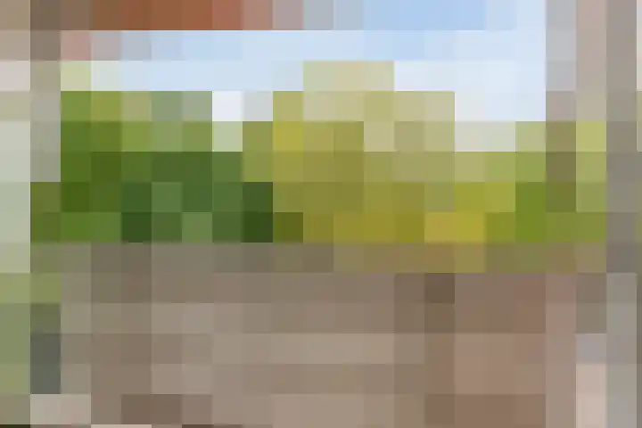 Klaverweide 262 Voorburg thumbnail 23