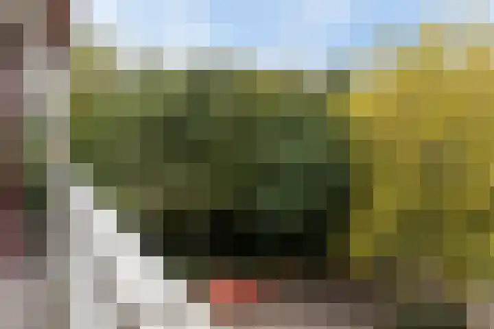 Klaverweide 262 Voorburg thumbnail 26