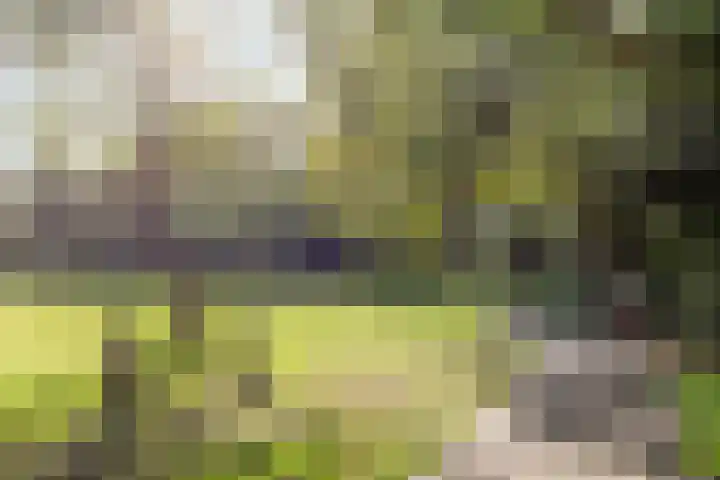 Klaverweide 262 Voorburg thumbnail 28