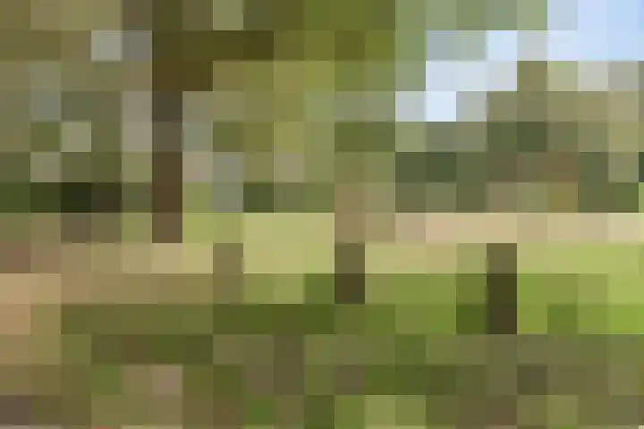 Klaverweide 262 Voorburg thumbnail 29