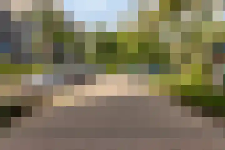 Klaverweide 262 Voorburg thumbnail 30