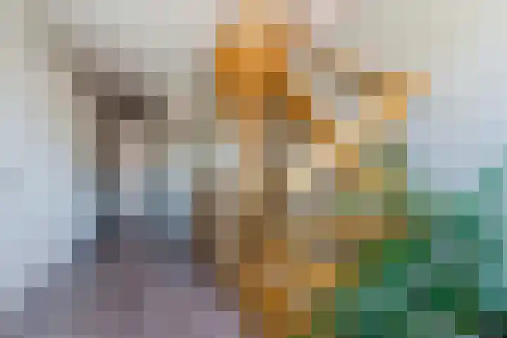 Klaverweide 3 Erp thumbnail 23