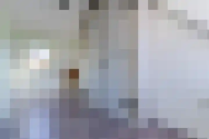 Klaverweide 3 Erp thumbnail 34