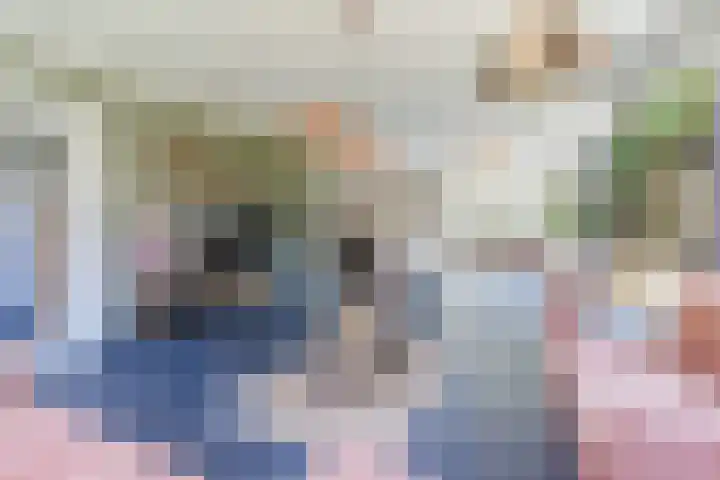 Klaverweide 3 Erp thumbnail 9
