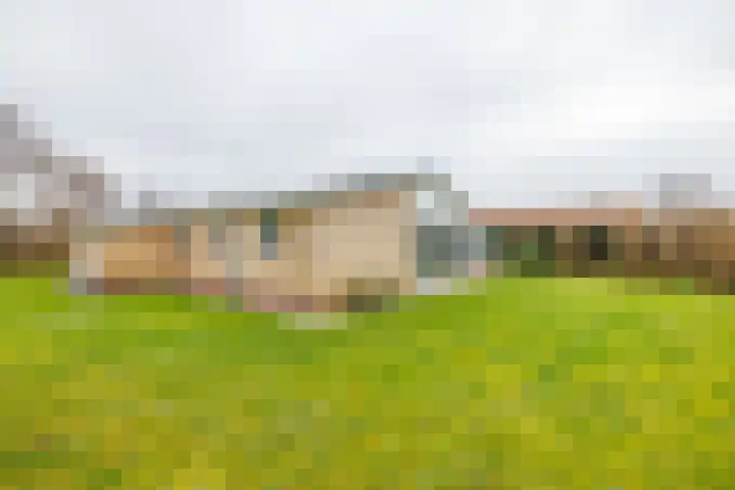 Klaverweide 305 Ballum thumbnail 42
