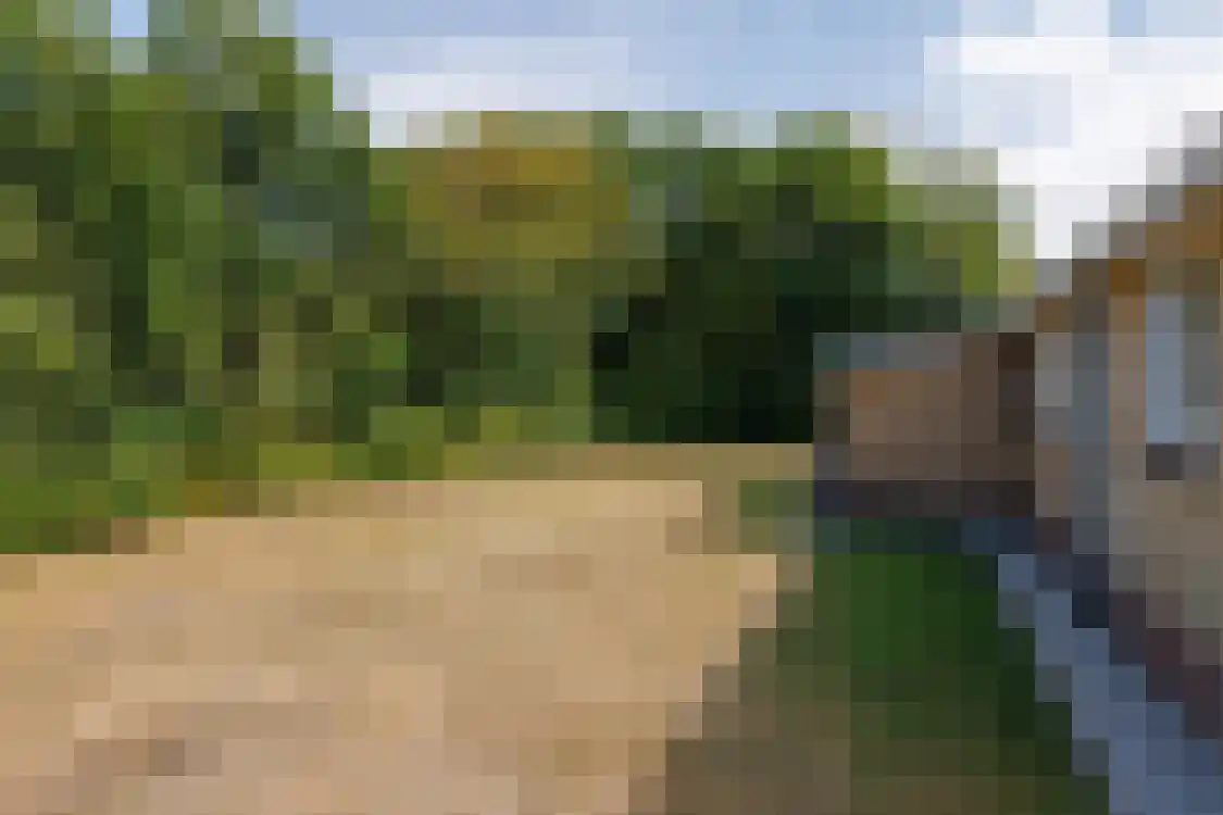 Klaverweide 305 Ballum thumbnail 33