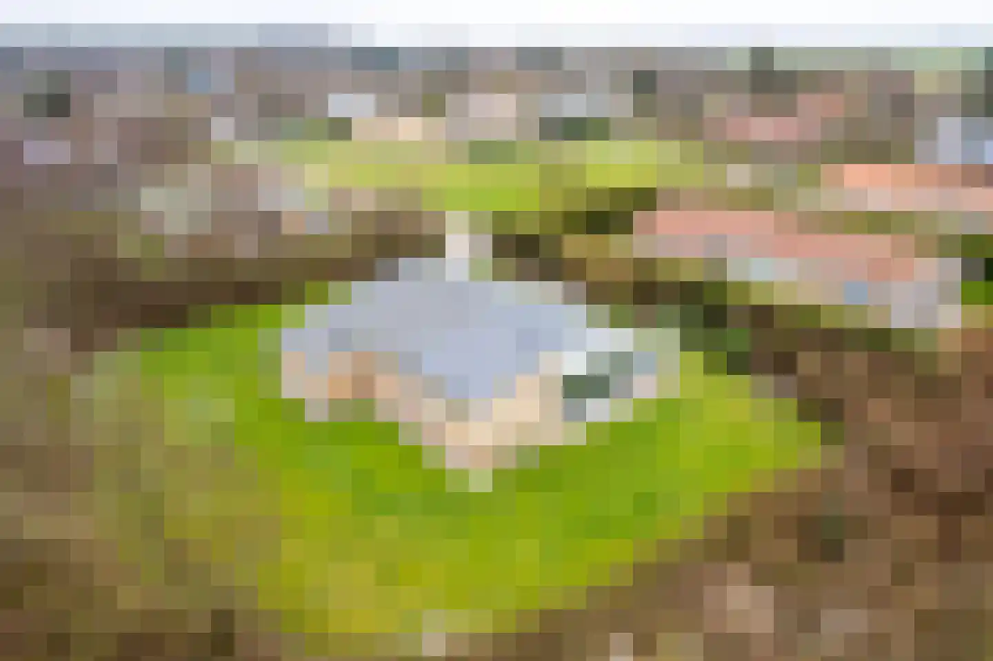 Klaverweide 305 Ballum thumbnail 46