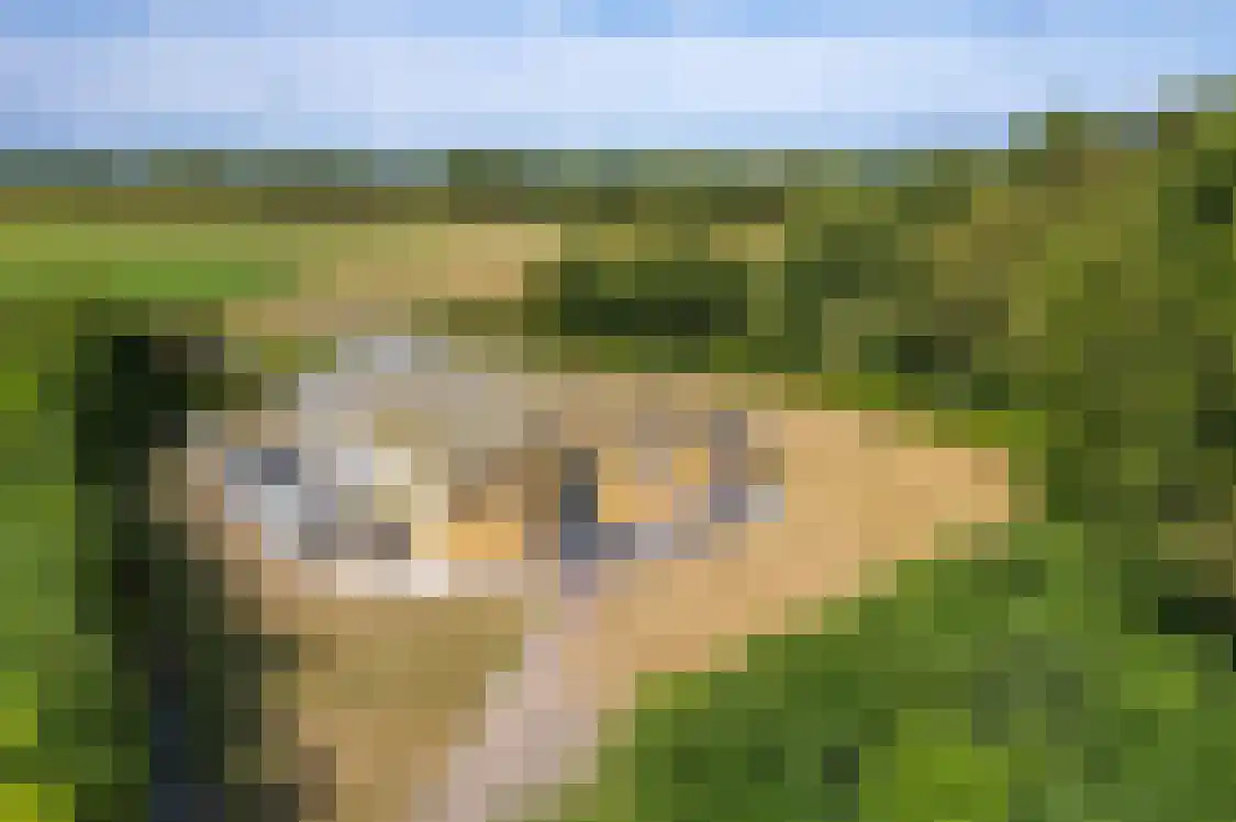 Klaverweide 305 Ballum thumbnail 37