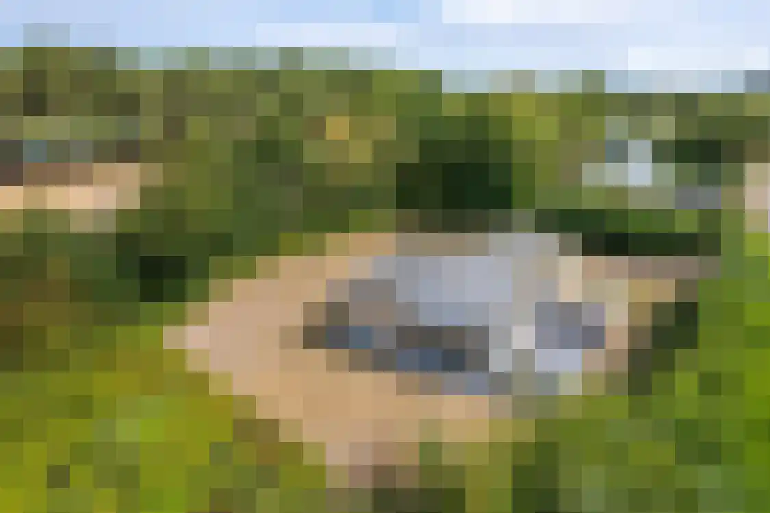 Klaverweide 305 Ballum thumbnail 38
