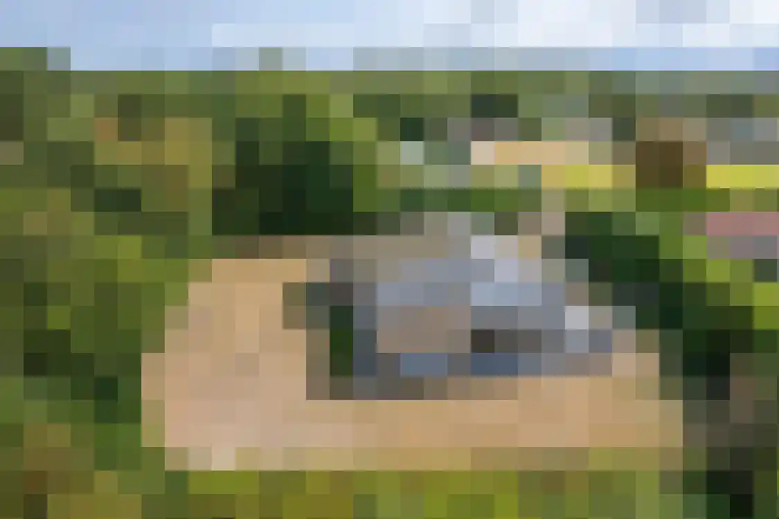 Klaverweide 305 Ballum thumbnail 39