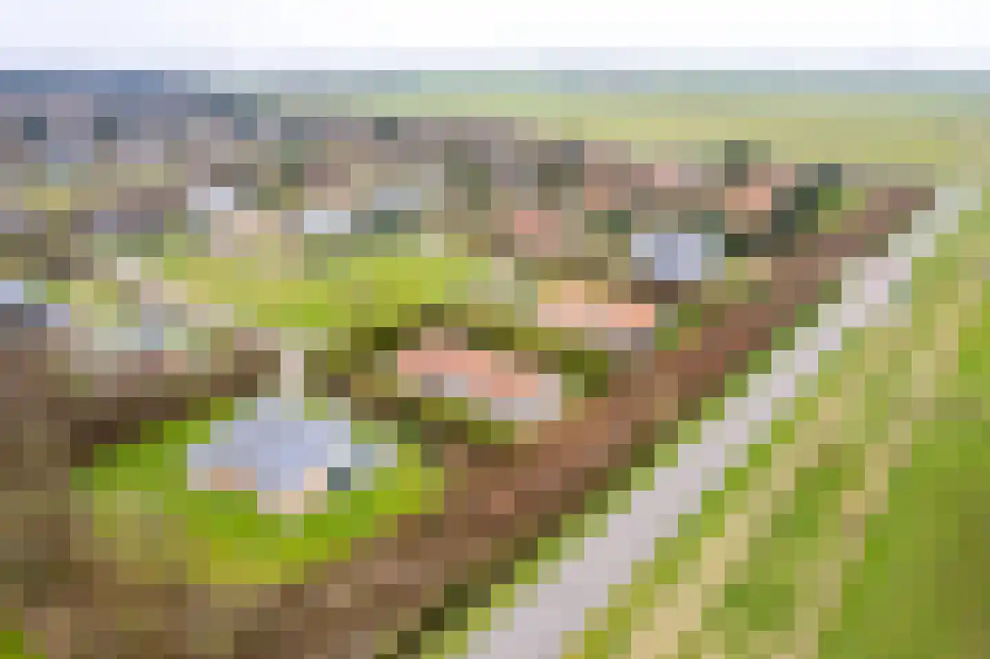 Klaverweide 305 Ballum thumbnail 52