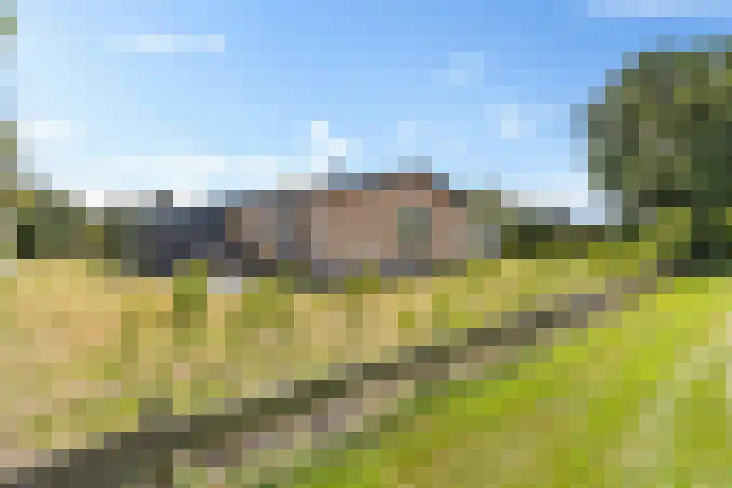 Klaverweide 312 Ballum thumbnail 32
