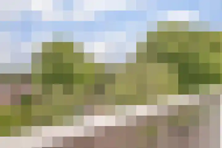 Klaverweide 322 Voorburg thumbnail 18