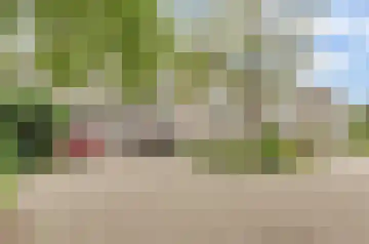 Klaverweide 322 Voorburg thumbnail 28