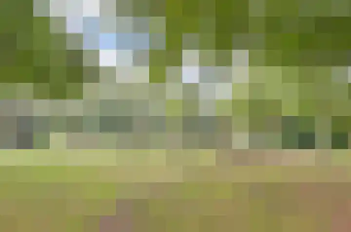 Klaverweide 322 Voorburg thumbnail 30
