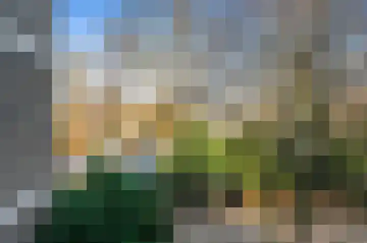 Klaverweide 338 Voorburg thumbnail 16