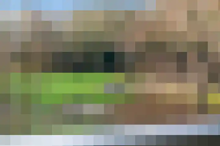 Klaverweide 338 Voorburg thumbnail 17