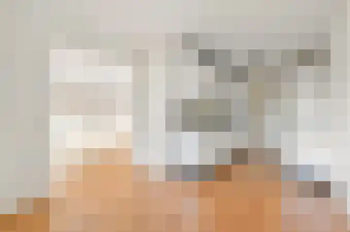 Klaverweide 338 Voorburg thumbnail 19