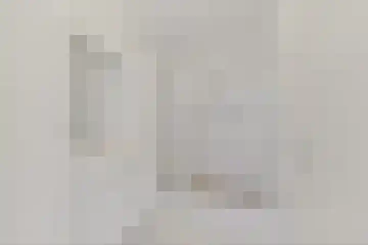 Klaverweide 338 Voorburg thumbnail 28