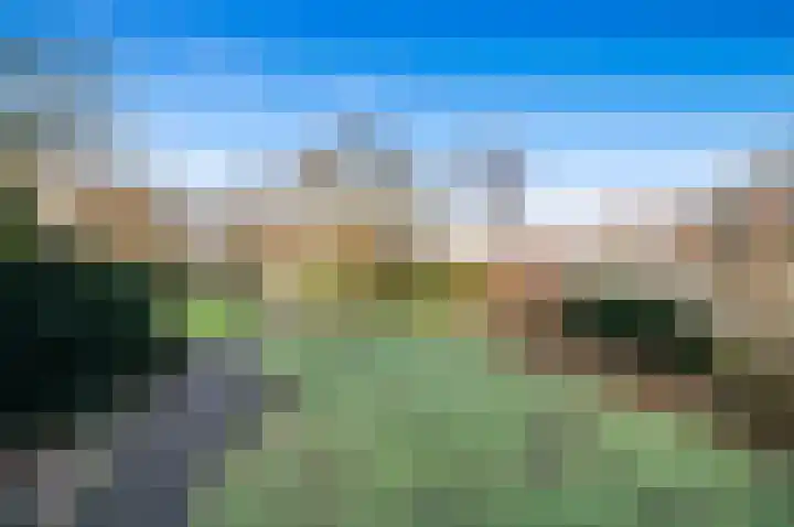 Klaverweide 338 Voorburg thumbnail 33