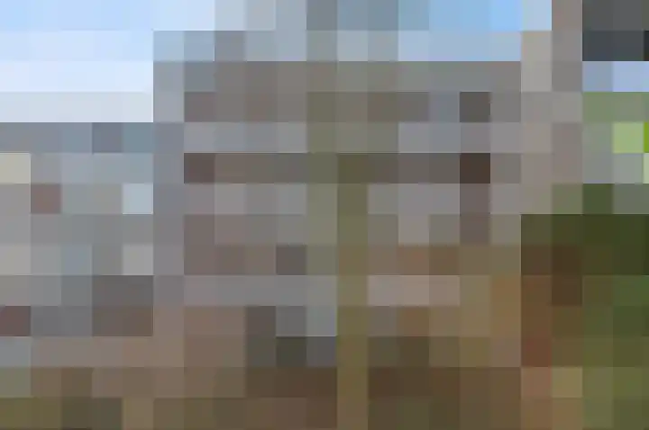 Klaverweide 338 Voorburg thumbnail 37