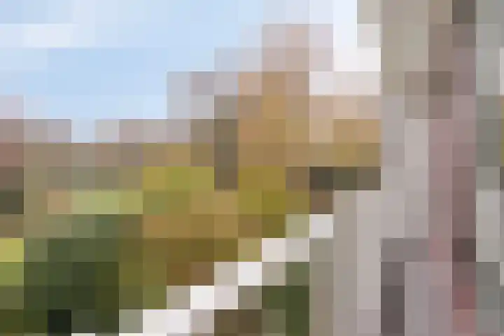 Klaverweide 340 Voorburg thumbnail 21