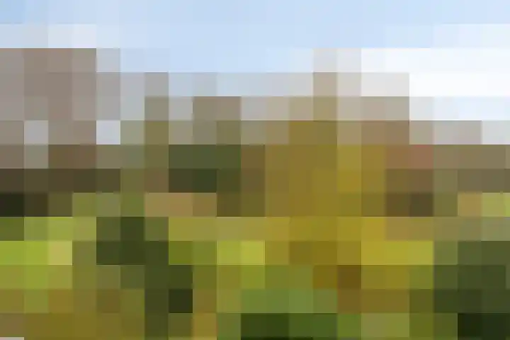 Klaverweide 340 Voorburg thumbnail 22