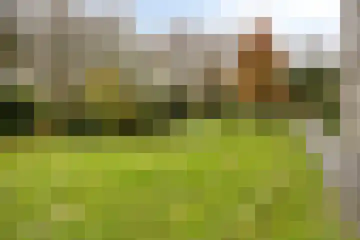 Klaverweide 340 Voorburg thumbnail 24