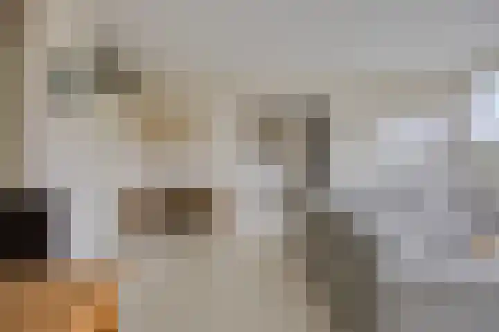 Klaverweide 340 Voorburg thumbnail 7