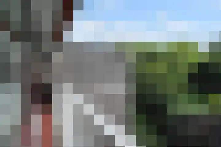 Klaverweide 344 Voorburg thumbnail 10