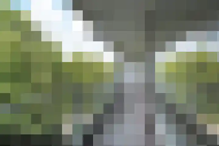Klaverweide 344 Voorburg thumbnail 20