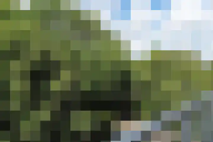 Klaverweide 344 Voorburg thumbnail 21