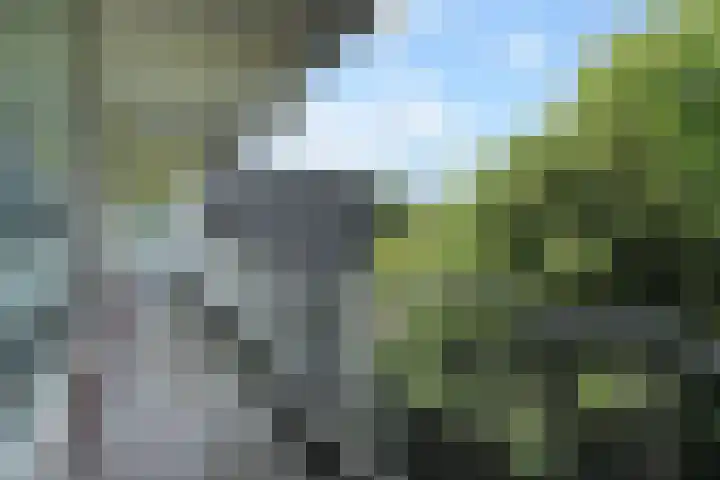 Klaverweide 344 Voorburg thumbnail 22
