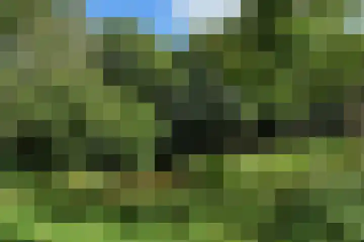 Klaverweide 344 Voorburg thumbnail 34