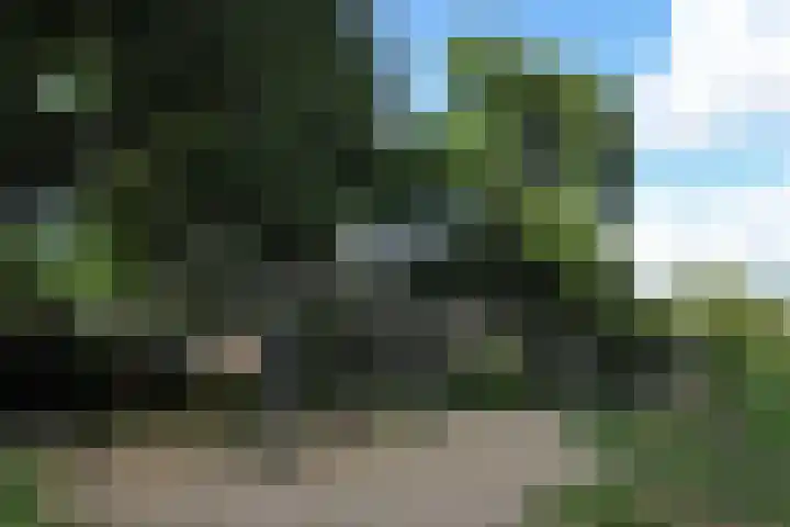 Klaverweide 344 Voorburg thumbnail 36