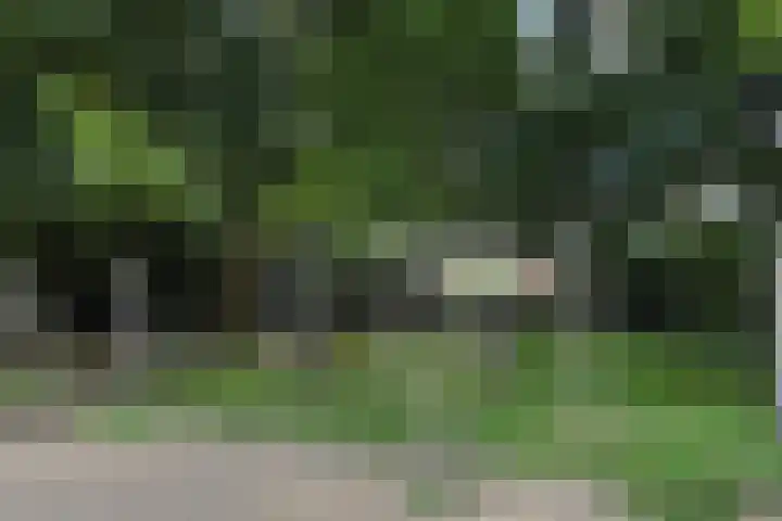 Klaverweide 344 Voorburg thumbnail 37