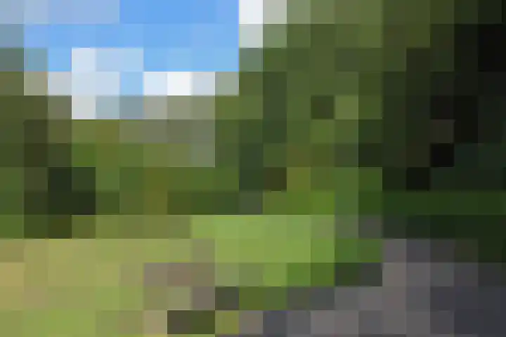 Klaverweide 344 Voorburg thumbnail 38