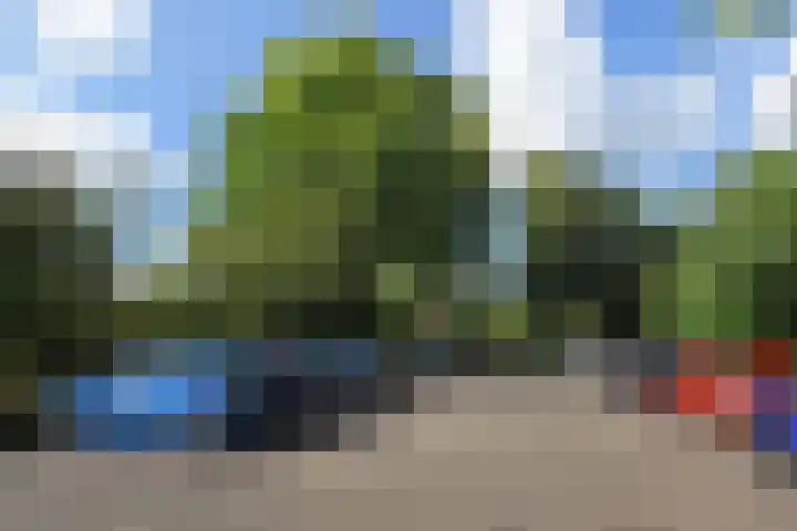 Klaverweide 344 Voorburg thumbnail 39