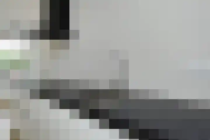 Klaverweide 344 Voorburg thumbnail 4