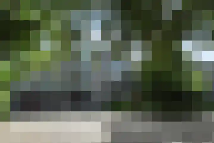 Klaverweide 344 Voorburg thumbnail 40