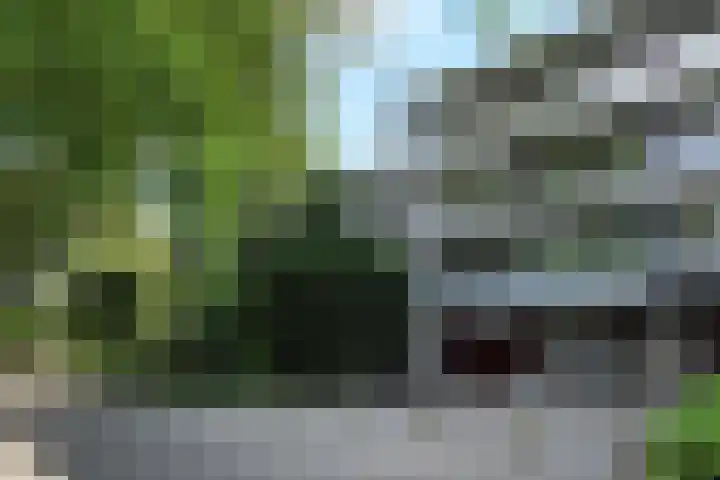 Klaverweide 344 Voorburg thumbnail 41