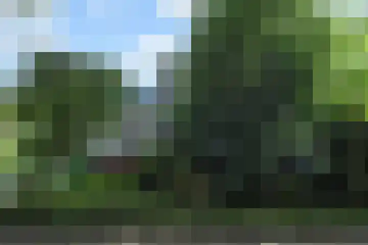 Klaverweide 344 Voorburg thumbnail 42