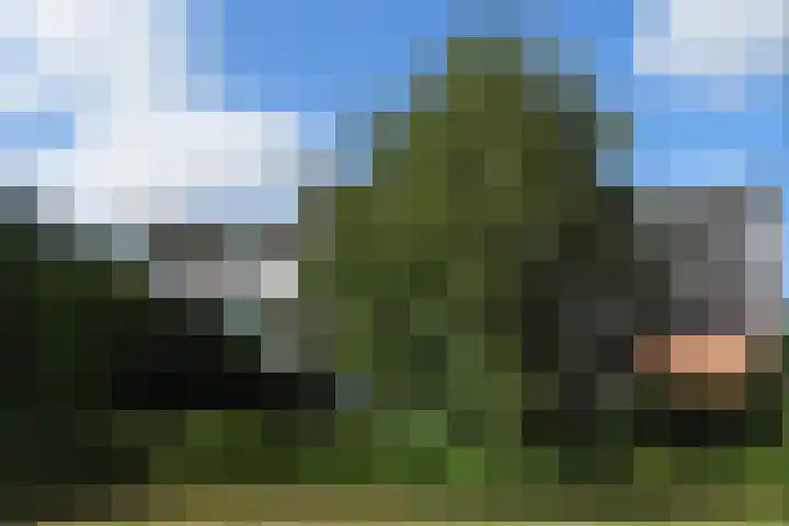 Klaverweide 344 Voorburg thumbnail 43