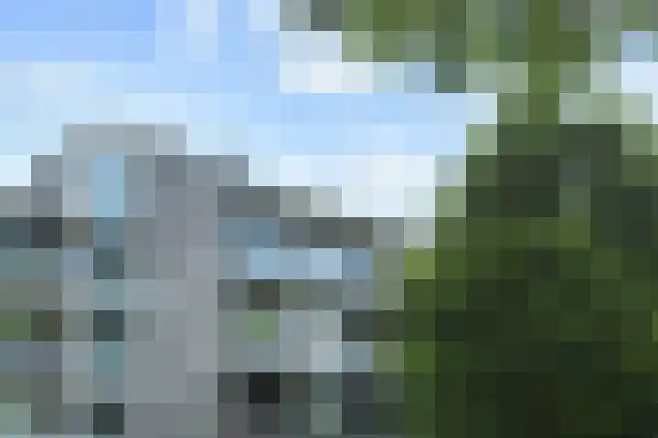 Klaverweide 344 Voorburg thumbnail 44