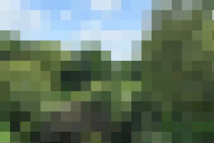 Klaverweide 344 Voorburg thumbnail 8