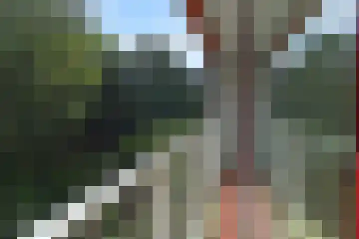 Klaverweide 344 Voorburg thumbnail 9