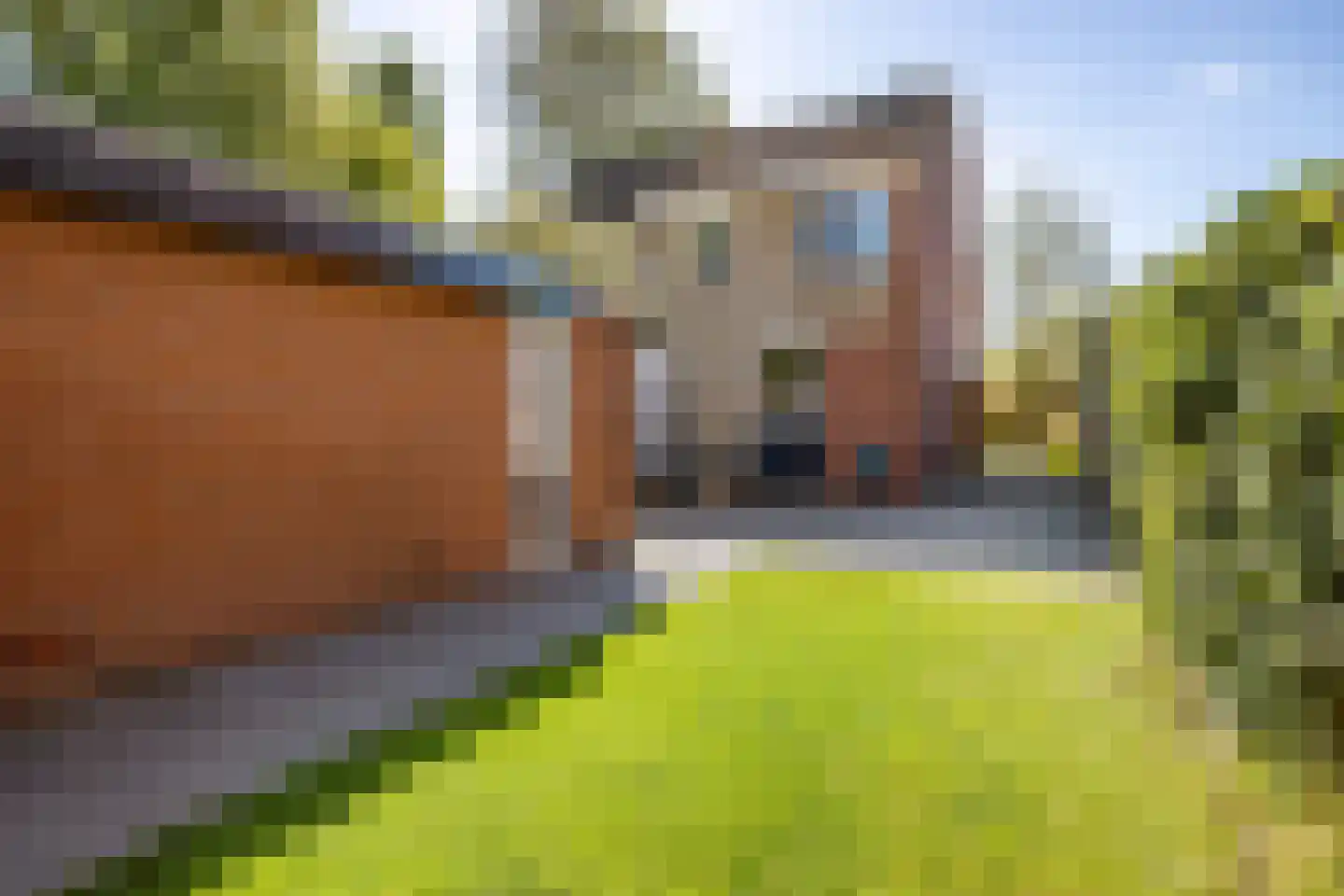 Klaverweide 35 Delfzijl thumbnail 11