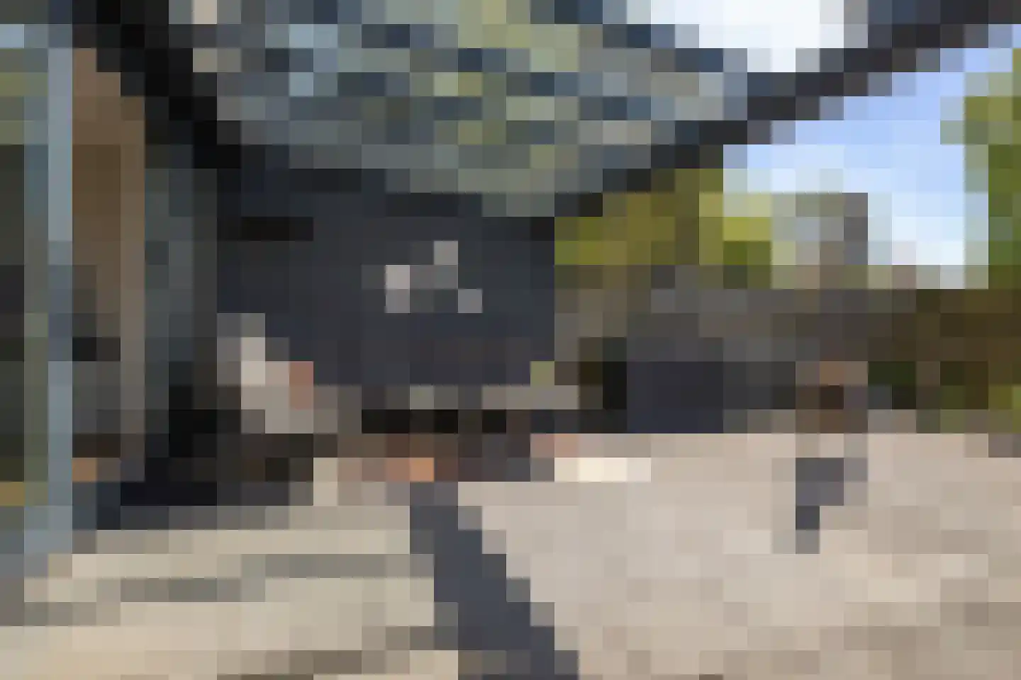 Klaverweide 35 Delfzijl thumbnail 16